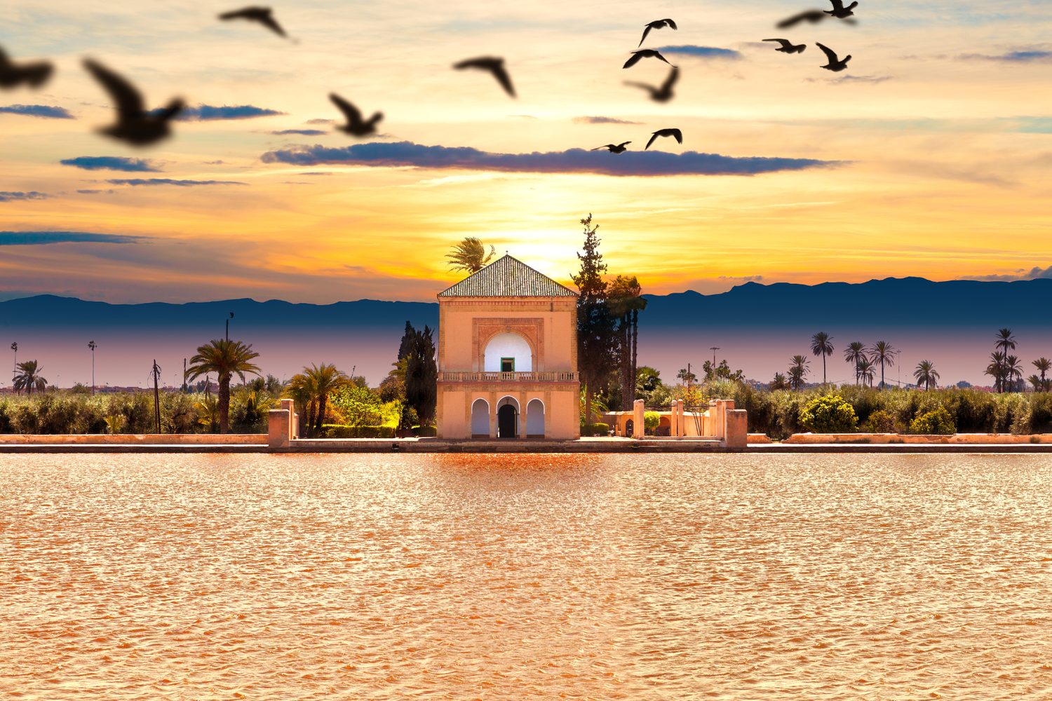 From Marrakech
