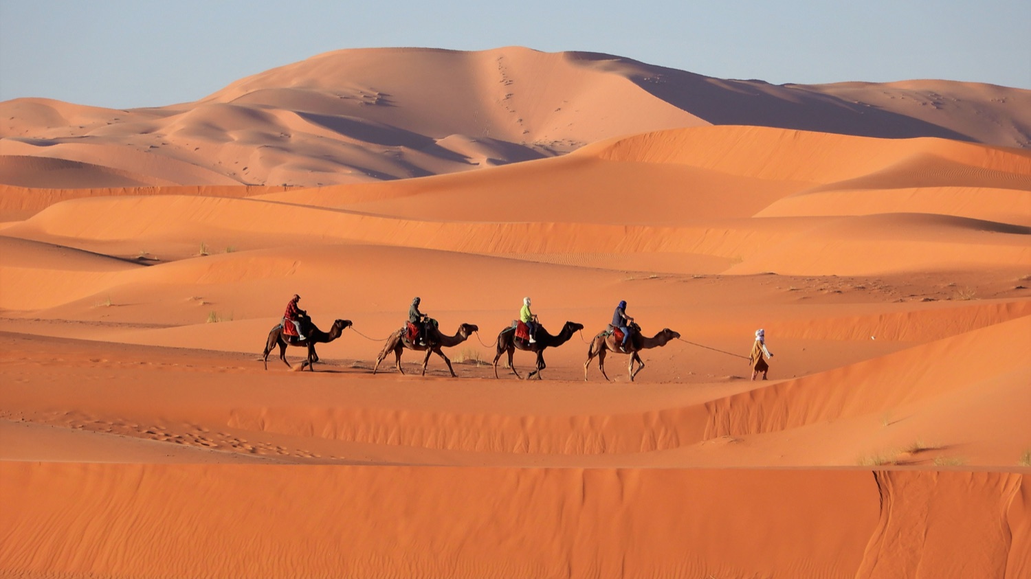 6 days from Casablanca: Fez, desert and Marrakech