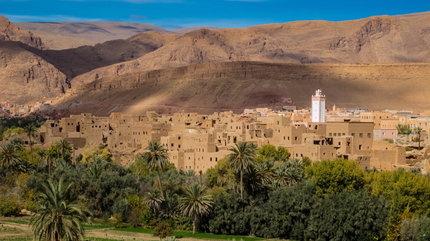 7 Tage durch Marokko ab Casablanca: Königsstädte und Wüste